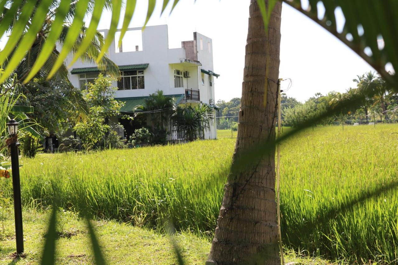 Manel Guest House Polonnaruwa Exterior foto